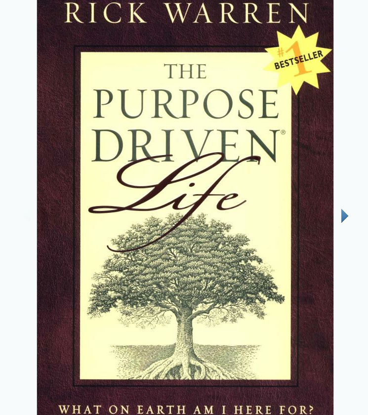 The Purpose Driven Life _ What on Earth Am I Here For?