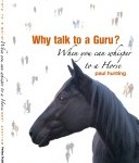 Why talk to a Guru?