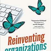Reinventing Organisations